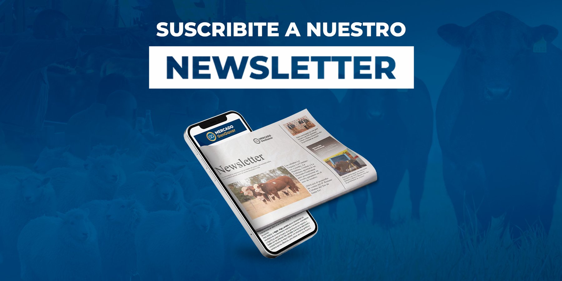 Mirá todas las ediciones de nuestro Newsletter